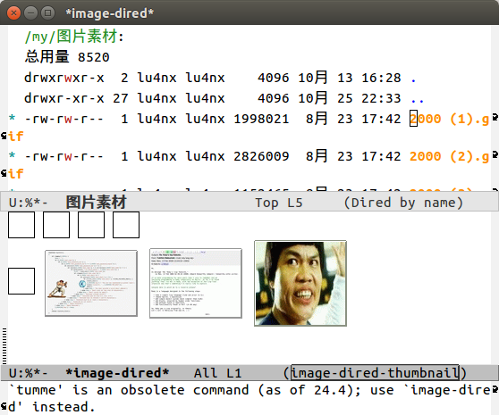 emacs-tumme.png